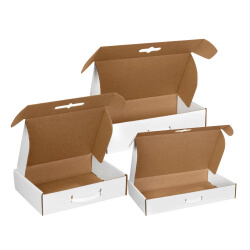Carrying Cases
