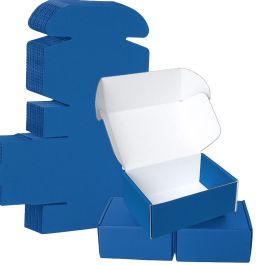 Blue Mailer Box (White Inside) 
