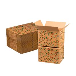 Christmas String Lights Print Kraft Shipping Box