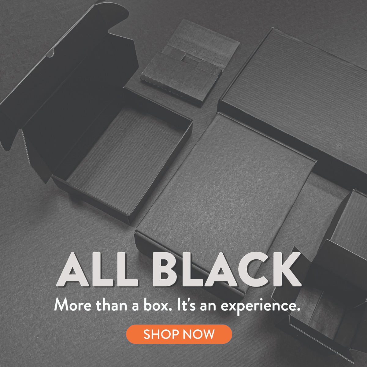 Custom Printed Mailers