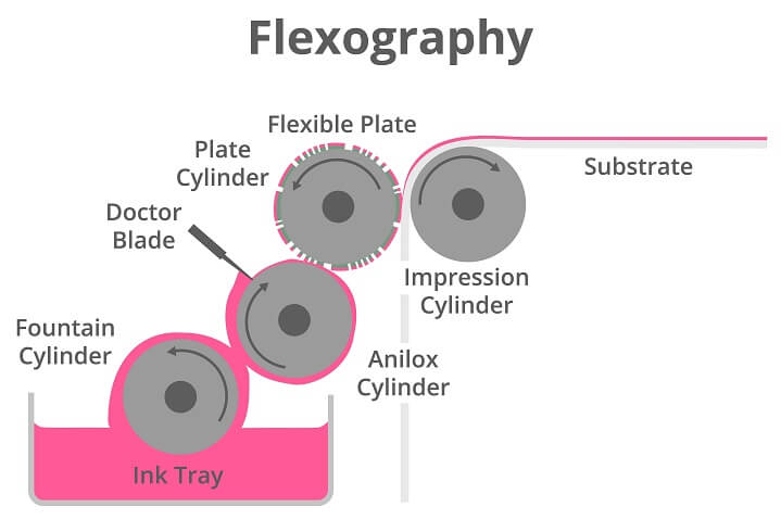 flexo